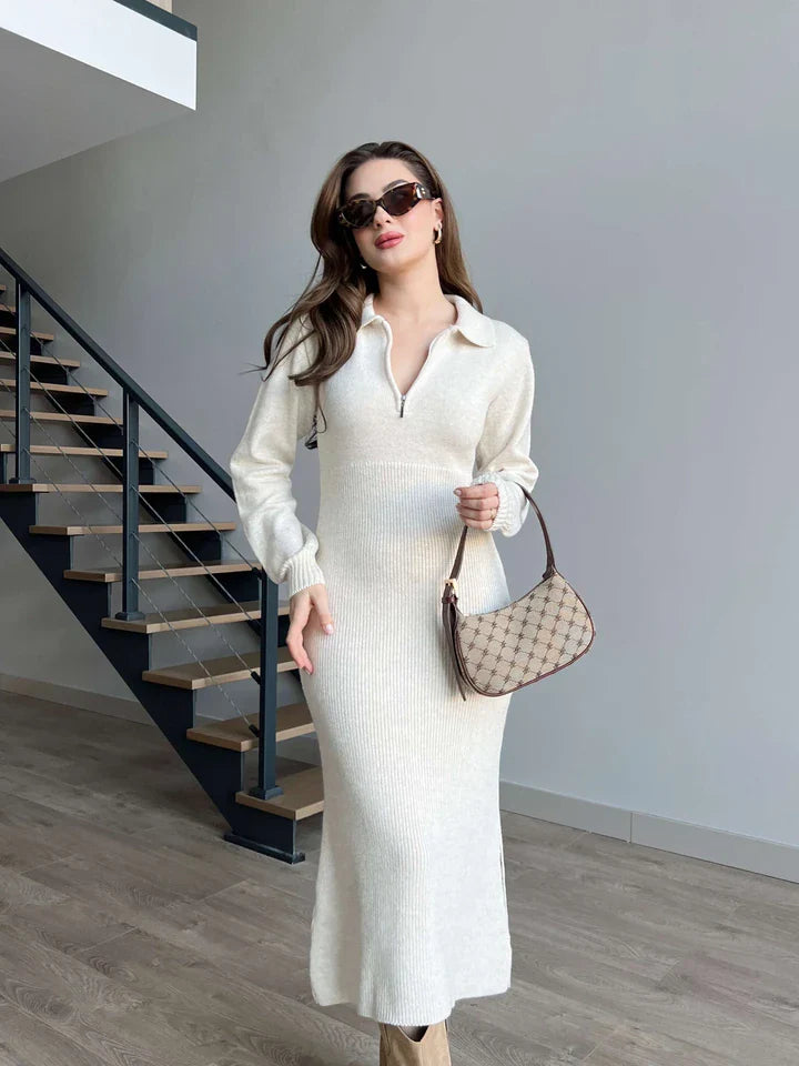 Alma Zipper Collar Dress
