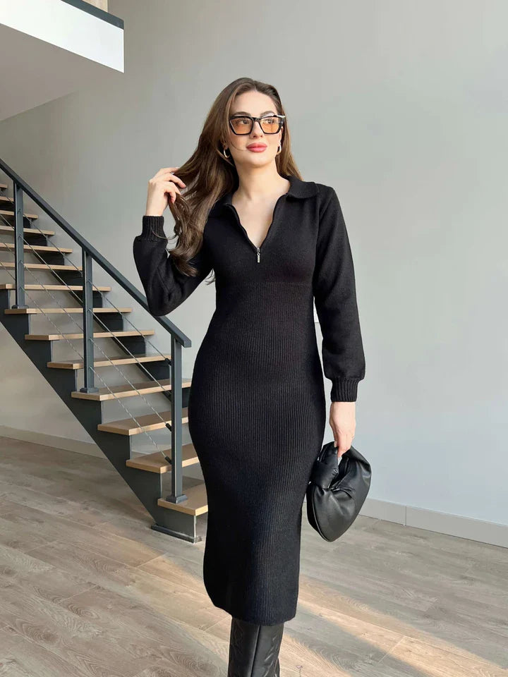Alma Zipper Collar Dress